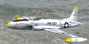 Goose.jpg