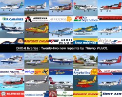Dhc6_new_liveries_Patchwork.jpg