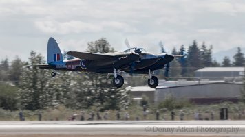 Mosquito_Landing(c).JPG