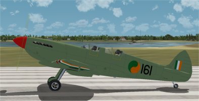 FSX TR9 AF Scrub.jpg