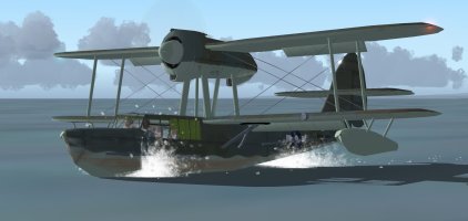 6 Otter water landing.jpg