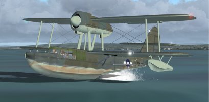 7 Otter water toff 2.jpg