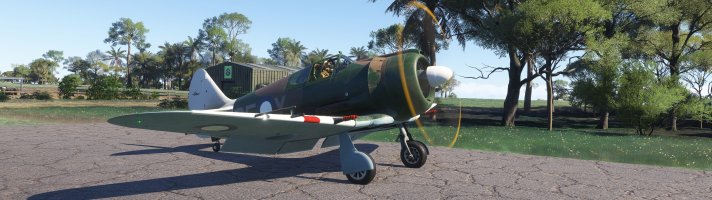 Microsoft Flight Simulator 2024 5_5_2026 11_38_21 AM_wide.jpg