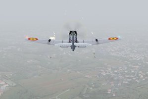 7 spit WP3 guns.jpg