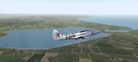 6 montrose WP3.jpg