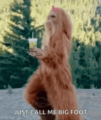1778611381752.gif