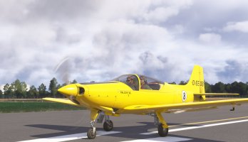 D-EEOB.jpg