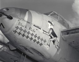Kipp's Black-Rufe.jpg