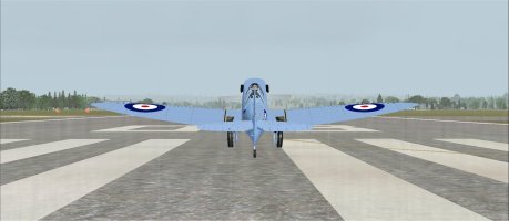 04 My turn runway 08.jpg