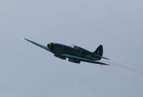 Leg 06-n.jpg
