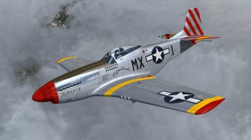 Mustang 04.jpg