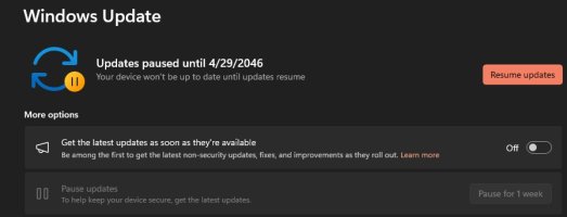 update_pause.jpg