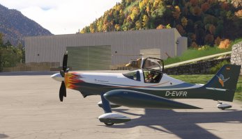 D-EVFR2.jpg