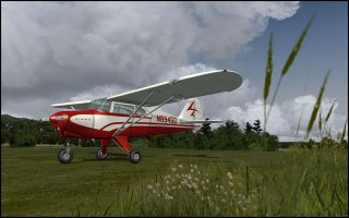 lionheart-creations-piper-pacer_2_ss_l_121123123637.jpg