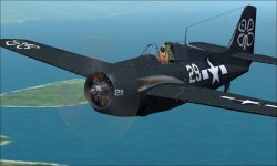 FM-2 foster l.jpg