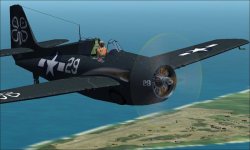 FM-2 foster r.jpg