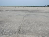 IMG_3713.jpg