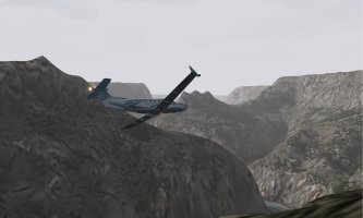 D4 9 suicide.jpg