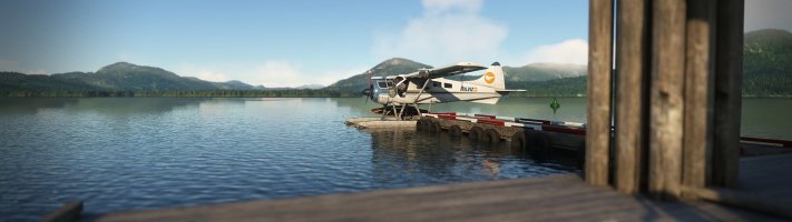 Beaver05.jpg