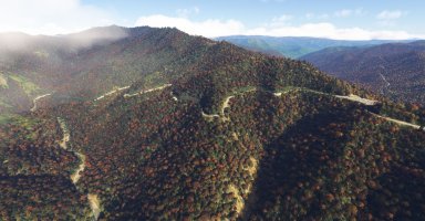 Smokies02.jpg