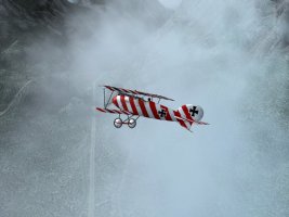 Albatross_2.jpg