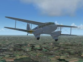 dh89.jpg