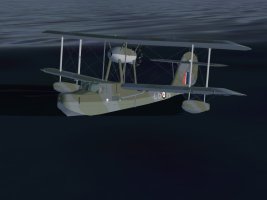 Walrus_1.jpg
