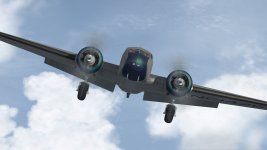 FlyB.jpg