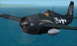 FM-2 foster.jpg