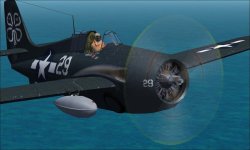FM-2 foster a.jpg