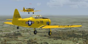 pairoftexans.jpg