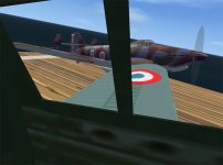 bearn_005.jpg