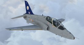 Hawk_1.jpg
