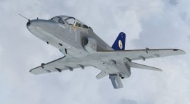 Hawk_2.jpg