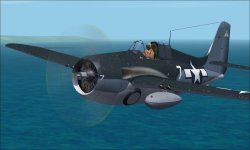 FM-2 ferko.jpg