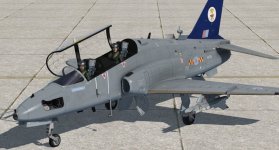Hawk_1.jpg