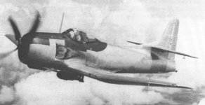 34etttty76.jpg