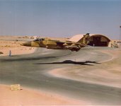 Jaguars in Oman_002.jpg