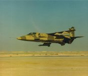 Jaguars in Oman_003.jpg