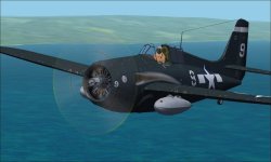FM-2 eash 1.jpg