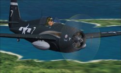 FM-2 carr B.jpg