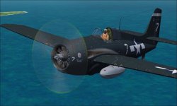 FM-2 carr.jpg