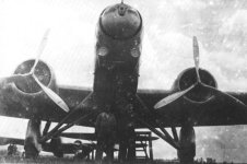 337.jpg
