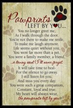 pawprints from you.jpg