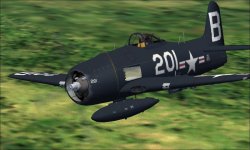 F8F Bearcat B.jpg
