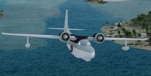 Mallard_N168WS1.jpg