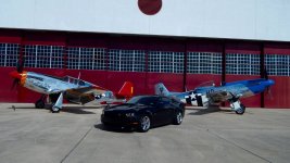 41115 fant fl.jpg