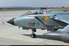 Tonka_canopy.jpg