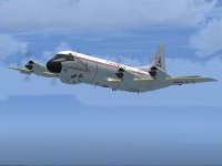 CP-140.jpg