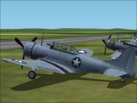 SBD-5.jpg
